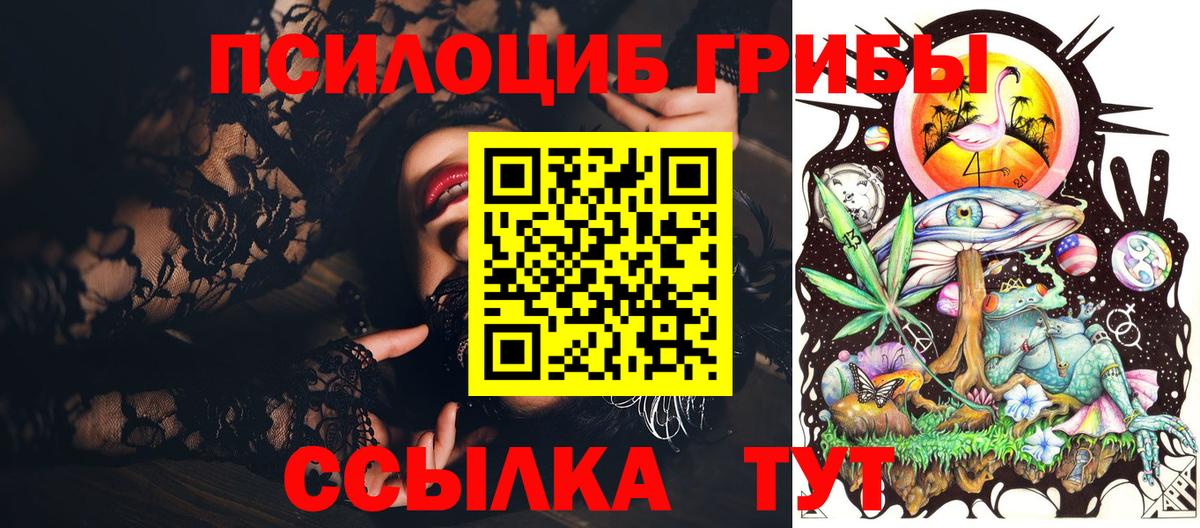 Псилоцибиновые грибы Cubensis Апрелевка